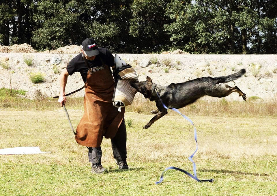 Quinta-de-lobos-adiestramiento-canino-entrenamiento