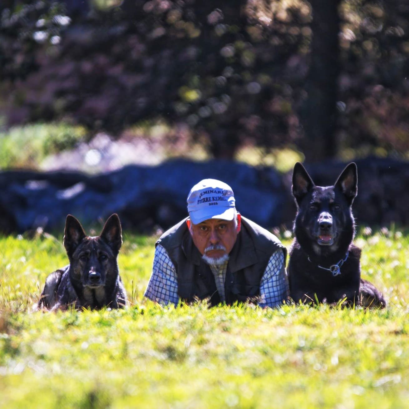 Quinta-de-lobos-adiestramiento-canino-entrenamiento