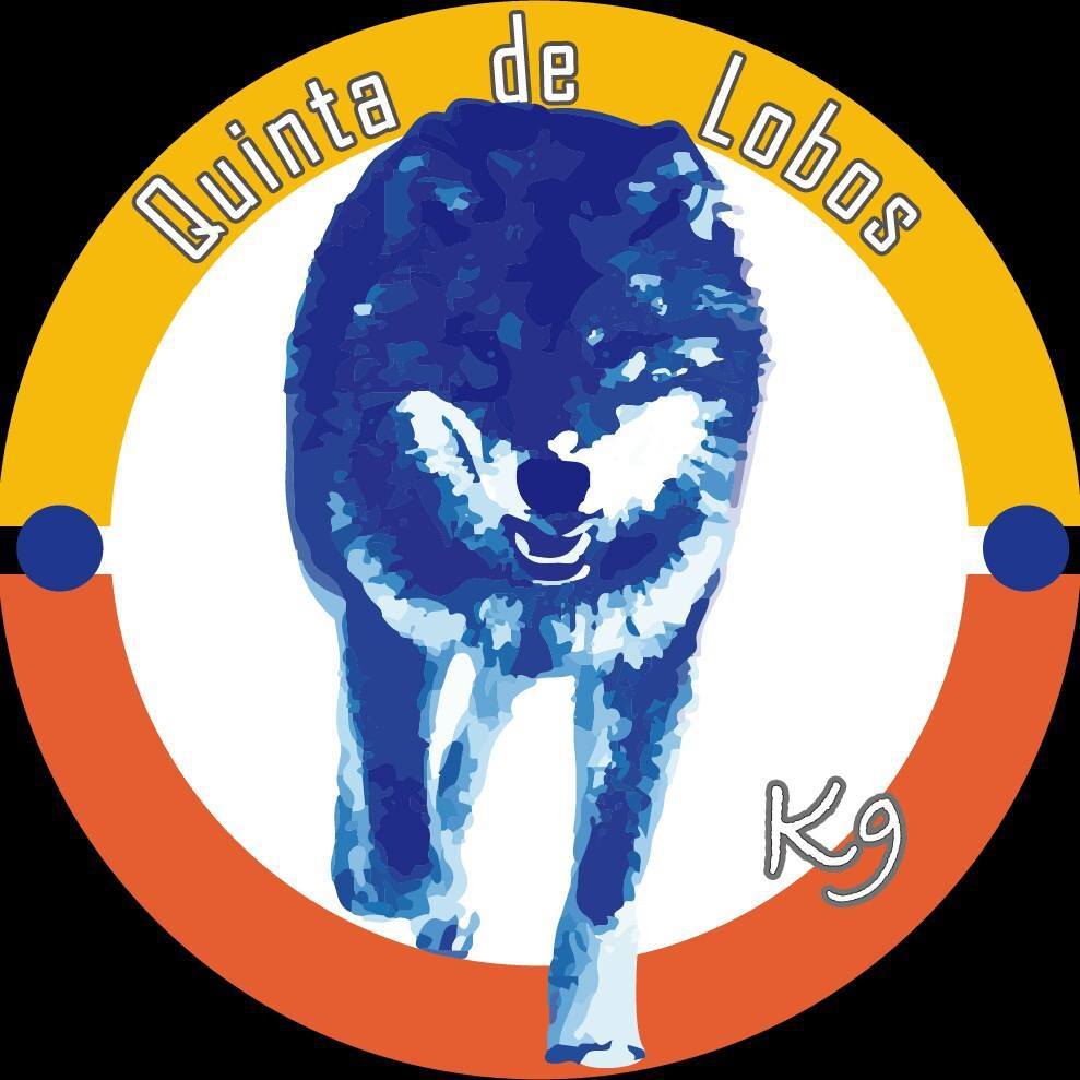 Quinta-de-lobos-adiestramiento-canino