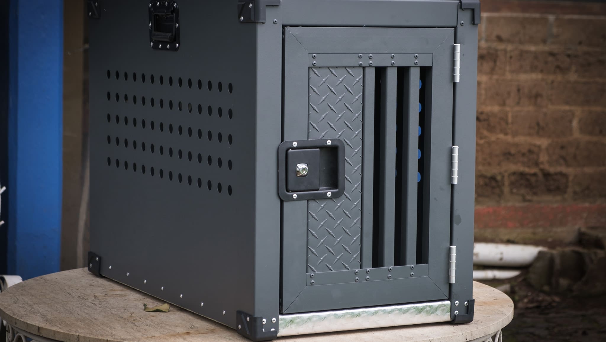 Transportadora gris instalada - detalle puerta