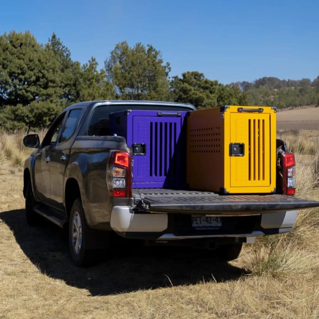 Amarillo y morado sobre pickup