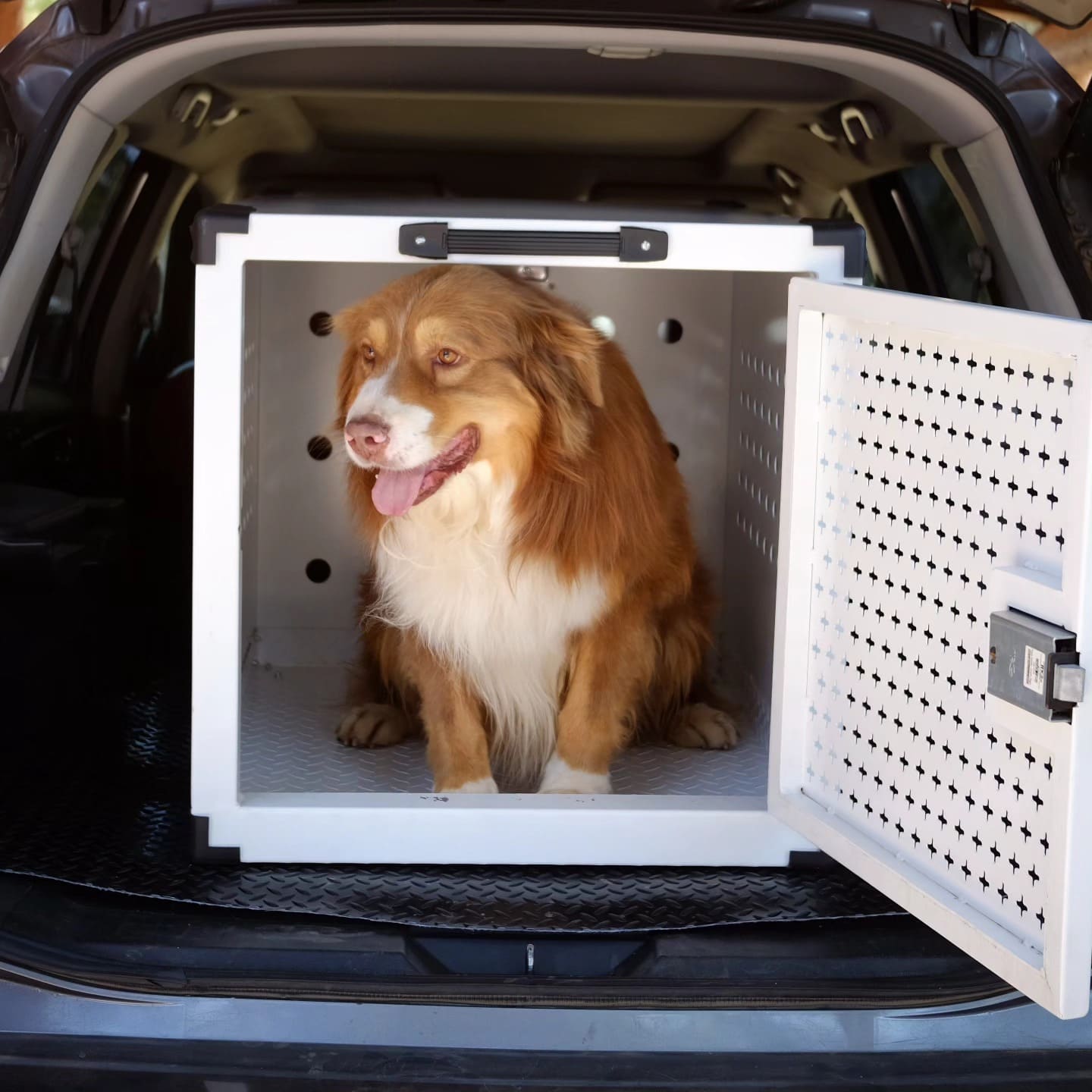Transportadora blanca con perro dentro