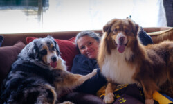 Quinta-de-lobos-adiestramiento-canino-asesoria