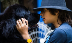 Quinta-de-lobos-adiestramiento-canino-asesoria