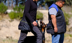 Quinta-de-lobos-adiestramiento-canino-club-deporte