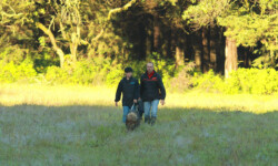 Quinta-de-lobos-adiestramiento-canino-club-deporte