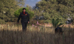 Quinta-de-lobos-adiestramiento-canino-club-deporte