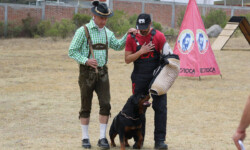 Quinta-de-lobos-adiestramiento-canino-club-deporte