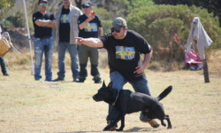 Quinta-de-lobos-adiestramiento-canino-club-deporte