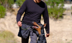 Quinta-de-lobos-adiestramiento-canino-entrenamiento