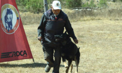 Quinta-de-lobos-adiestramiento-canino-entrenamiento