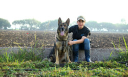 Quinta-de-lobos-adiestramiento-canino-entrenamiento