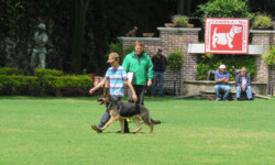 Quinta-de-lobos-adiestramiento-canino-entrenamiento
