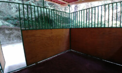 Quinta-de-lobos-adiestramiento-canino-pension