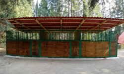 Quinta-de-lobos-adiestramiento-canino-pension